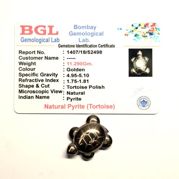 Pyrite Tortoise - Image 4
