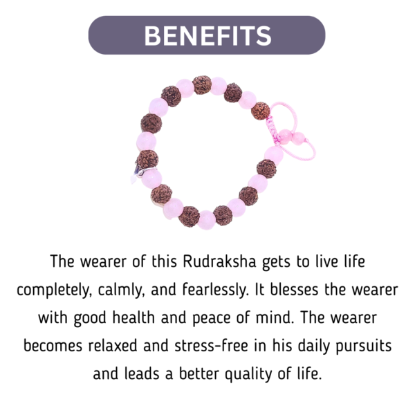 7 Mukhi Rudraksha And Rose Quartz Bracelet (Indonesia) - Image 3