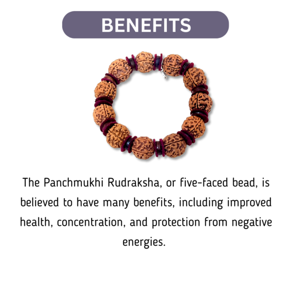 Panchmukhi Rudraksha Bracelet - Image 2