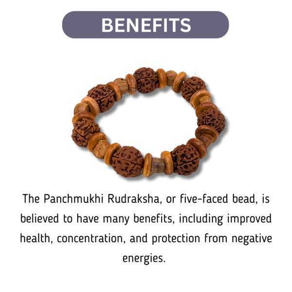 Panchmukhi Rudraksha And White Sandalwood Bracelet - Image 2