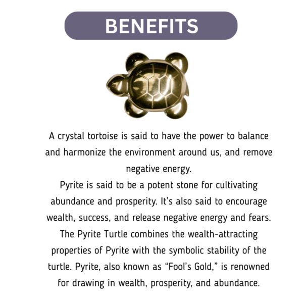 Pyrite Tortoise - Image 2
