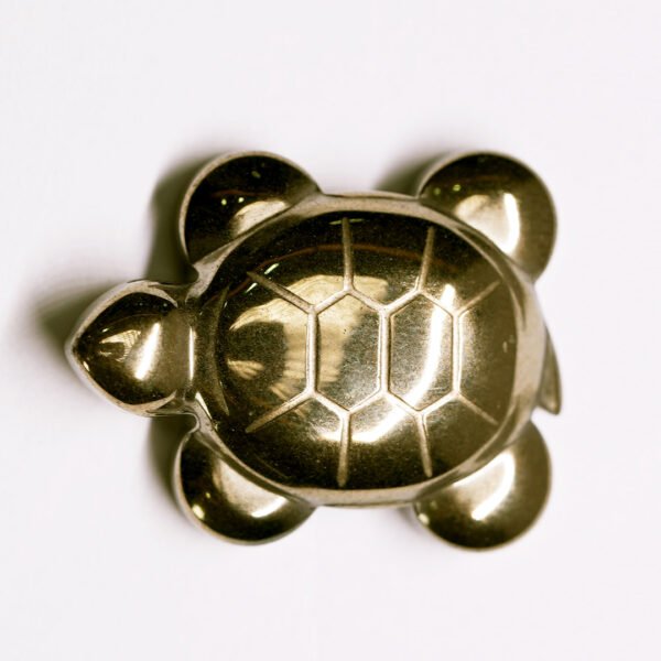 Pyrite Tortoise
