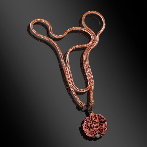 5 Mukhi Rudraksha With Copper Chain
