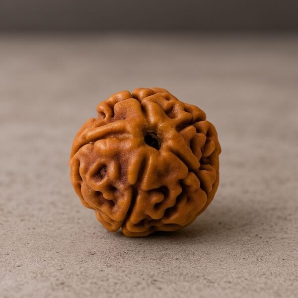Panchmukhi Nepal Rudraksha (Regular Size)