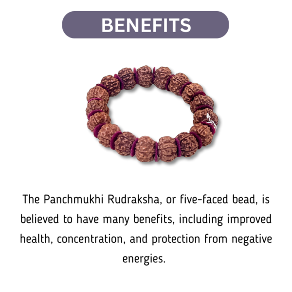 Panchmukhi Rudraksha Bracelet - Image 2