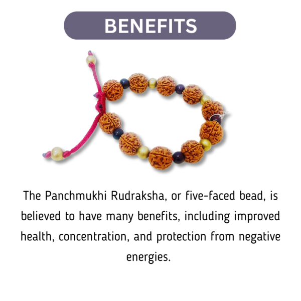 Panchmukhi Rudraksha Bracelet - Image 2