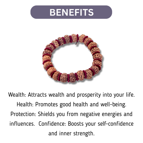 7 Mukhi Rudraksha Bracelet - Image 2