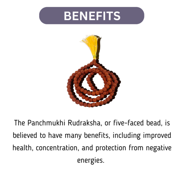 5 Mukhi Rudraksha Mala (8mm) - Image 2